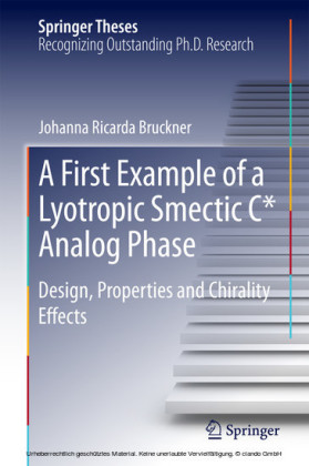 A First Example of a Lyotropic Smectic C* Analog Phase