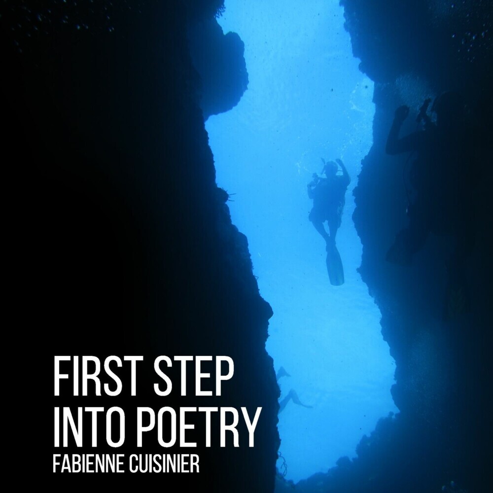 First Step Into Poetry main product photo
