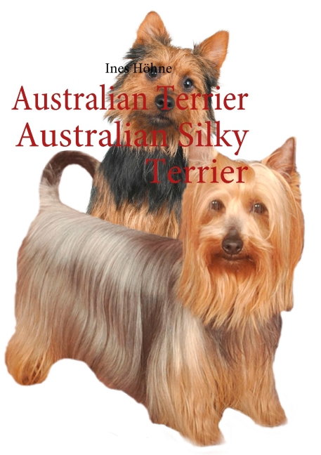 Australian Terrier Australian Silky Terrier main product photo