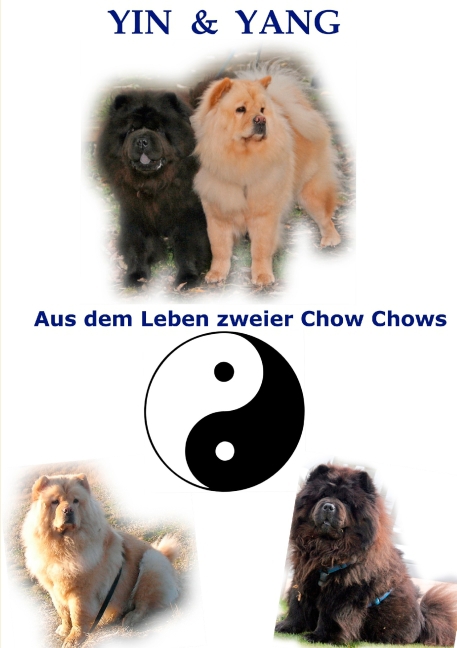 Yin und Yang main product photo