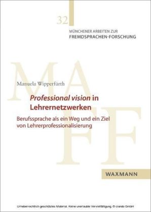 Professional vision in Lehrernetzwerken