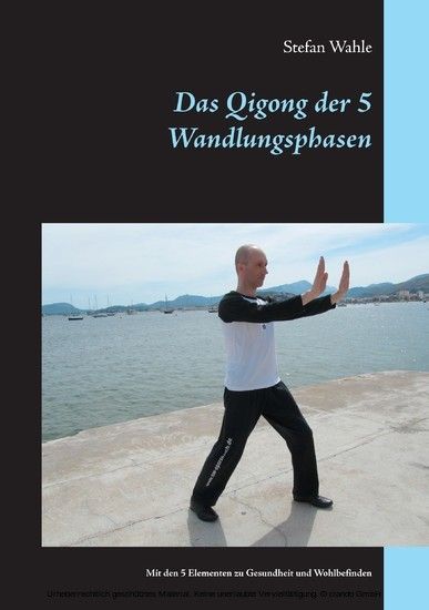 Das Qigong der 5 Wandlungsphasen main product photo
