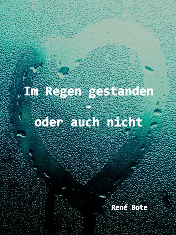 Im Regen gestanden - oder auch nicht main product photo