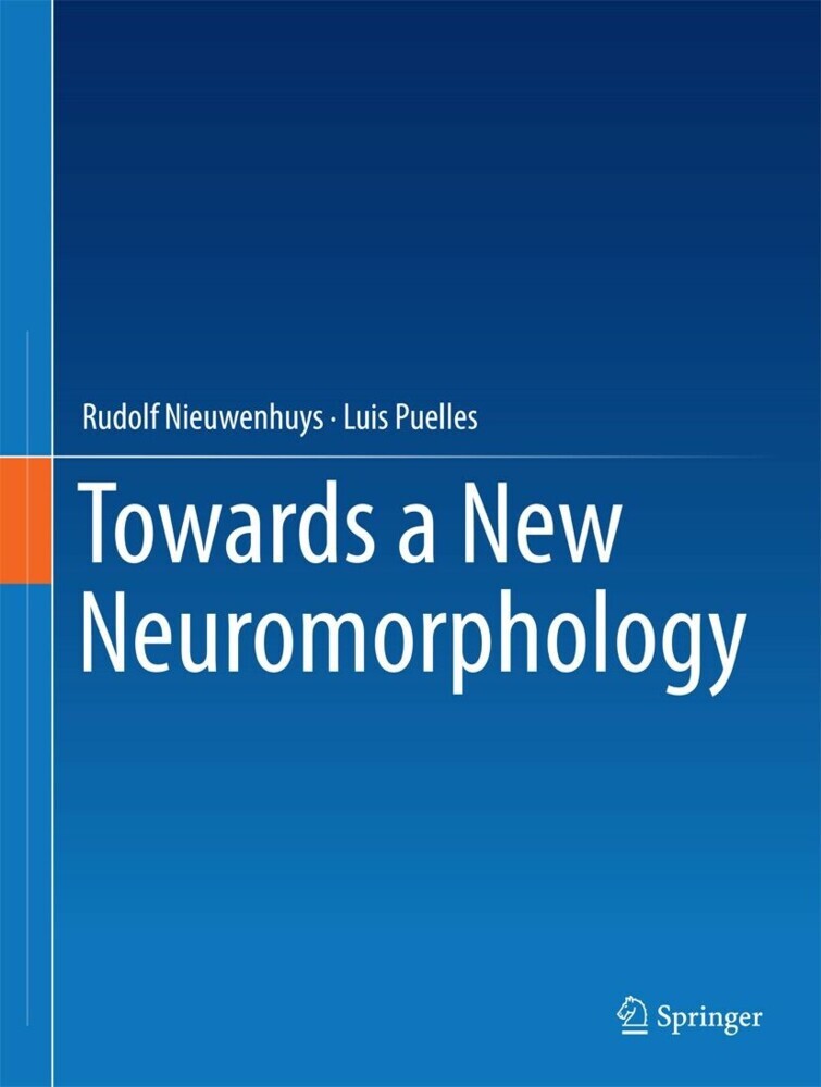 Towards a New Neuromorphology main product photo