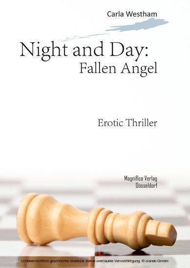 Night and Day: Fallen Angel main product photo