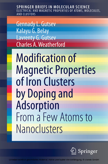 Modification of Magnetic Properties of Iron Clusters by Doping and Adsorption main product photo