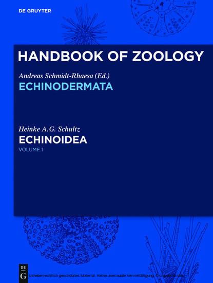Echinoidea main product photo