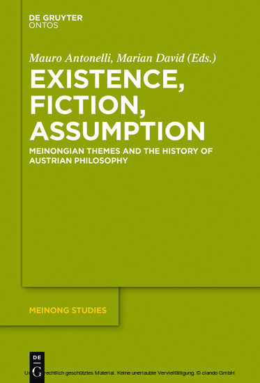 Existence, Fiction, Assumption main product photo