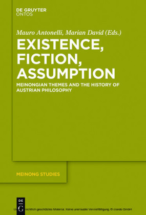 Existence, Fiction, Assumption