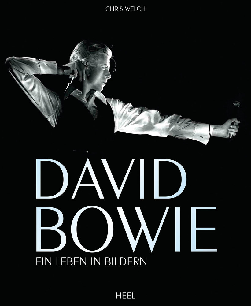 David Bowie main product photo