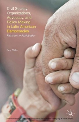 Civil Society Organizations, Advocacy, and Policy Making in Latin American Democracies