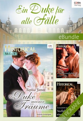 Ein Duke für alle Fälle