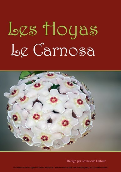 Les hoyas main product photo