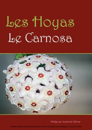 Les hoyas