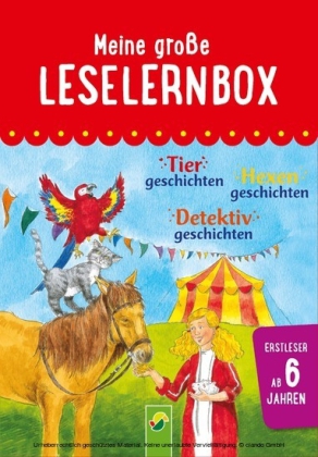 Meine große Leselernbox: Tiergeschichten, Hexengeschichten, Detektivgeschichten