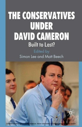 The Conservatives under David Cameron