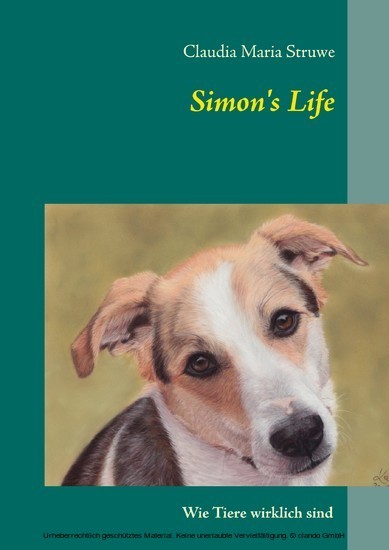 Simon's Life main product photo