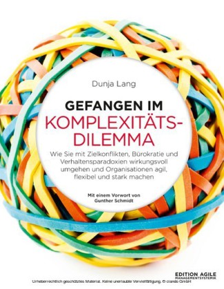 Gefangen im Komplexitätsdilemma