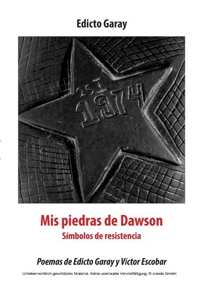 Mis piedras de dawson main product photo