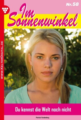Im Sonnenwinkel 58 - Familienroman