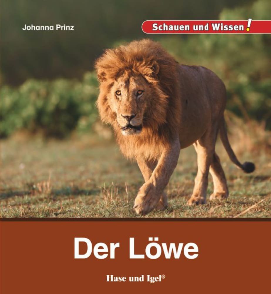 Der Löwe main product photo