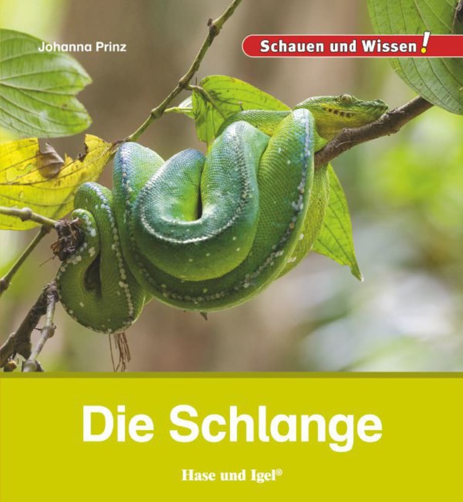 Die Schlange main product photo