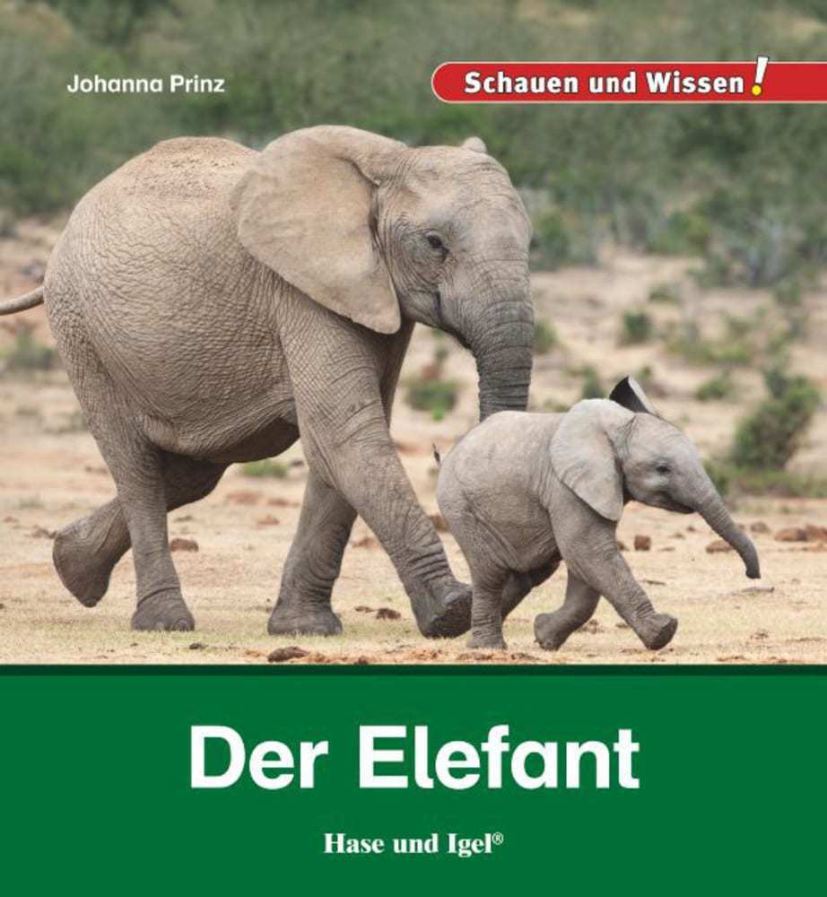 Der Elefant main product photo