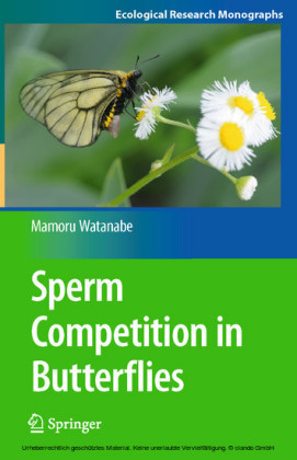 Sperm Competition in Butterflies