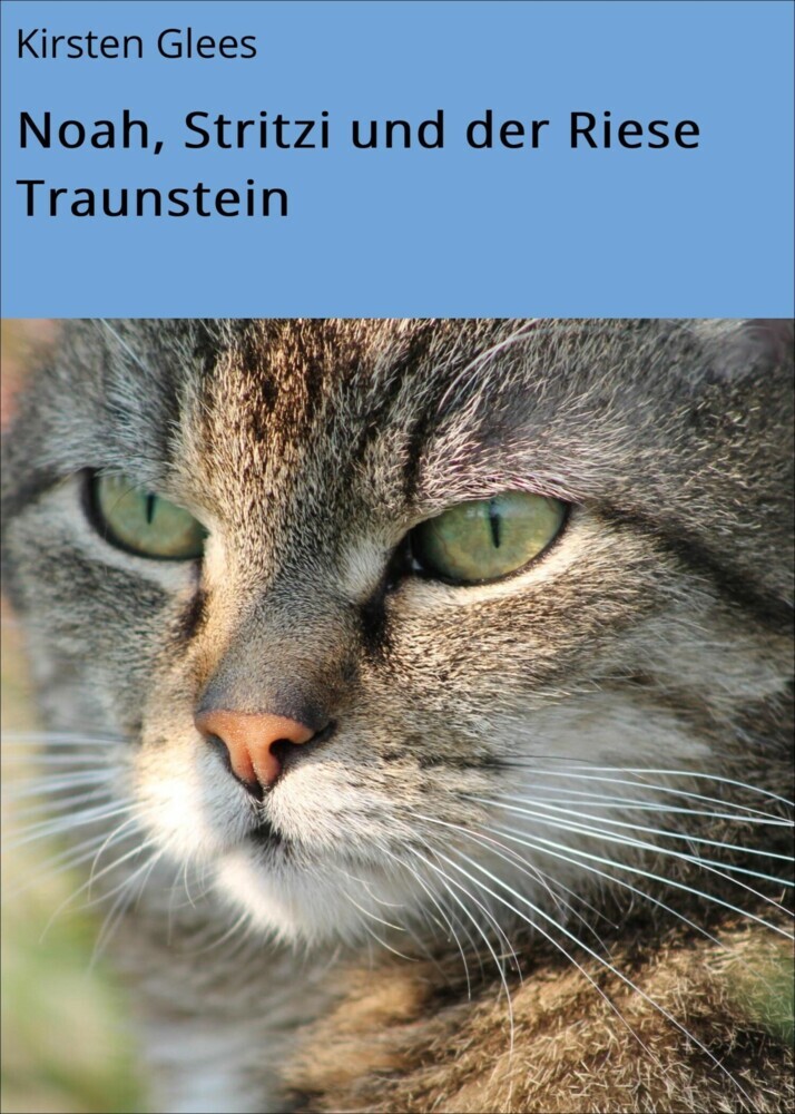Noah, Stritzi und der Riese Traunstein main product photo