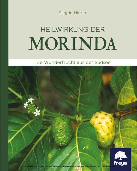 Heilwirkung der Morinda main product photo