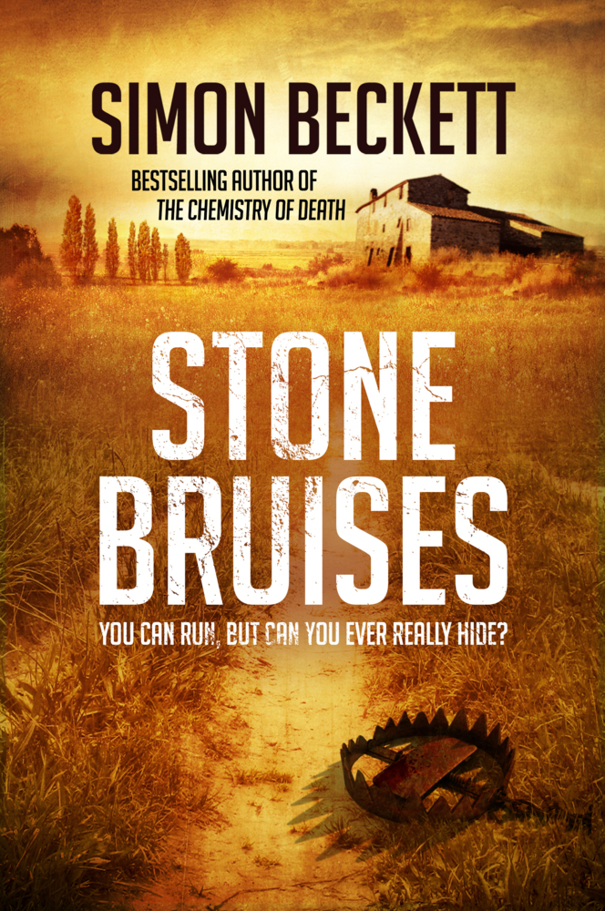 Stone Bruises main product photo