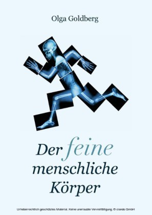 Der feine menschliche Körper