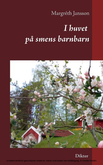 I huvet på smens barnbarn main product photo