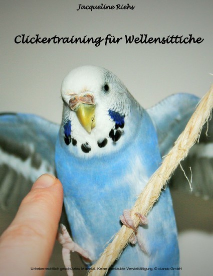 Clickertraining für Wellensittiche main product photo