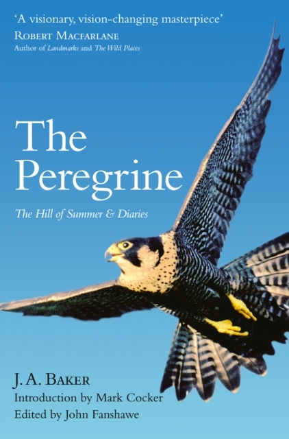 The Peregrine main product photo