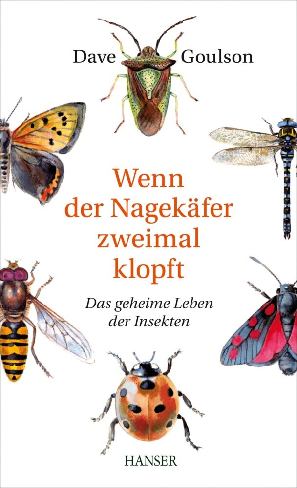 Wenn der Nagekäfer zweimal klopft main product photo