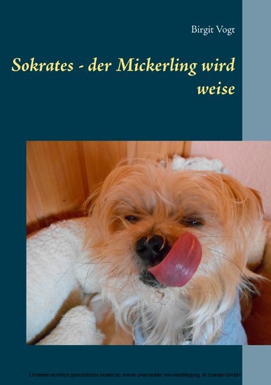 Sokrates - der Mickerling wird weise main product photo
