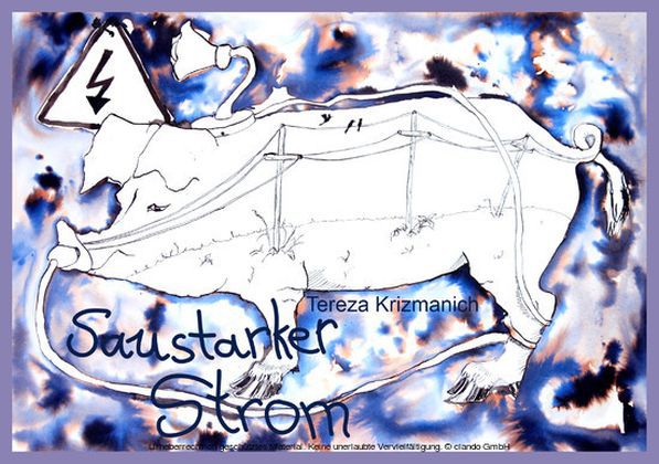 Saustarker Strom main product photo