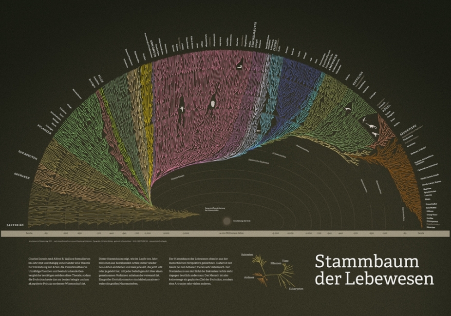 Stammbaum der Lebewesen (Poster) main product photo