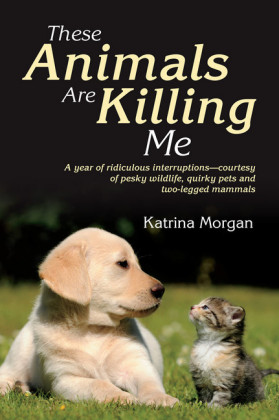 These Animals Are Killing Me
