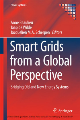 Smart Grids from a Global Perspective