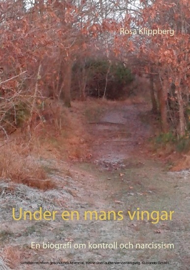 Under en mans vingar main product photo