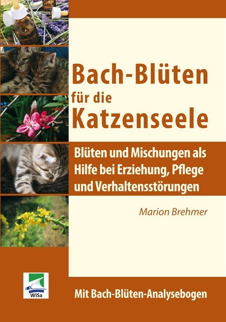 Bach-Blüten für die Katzenseele main product photo