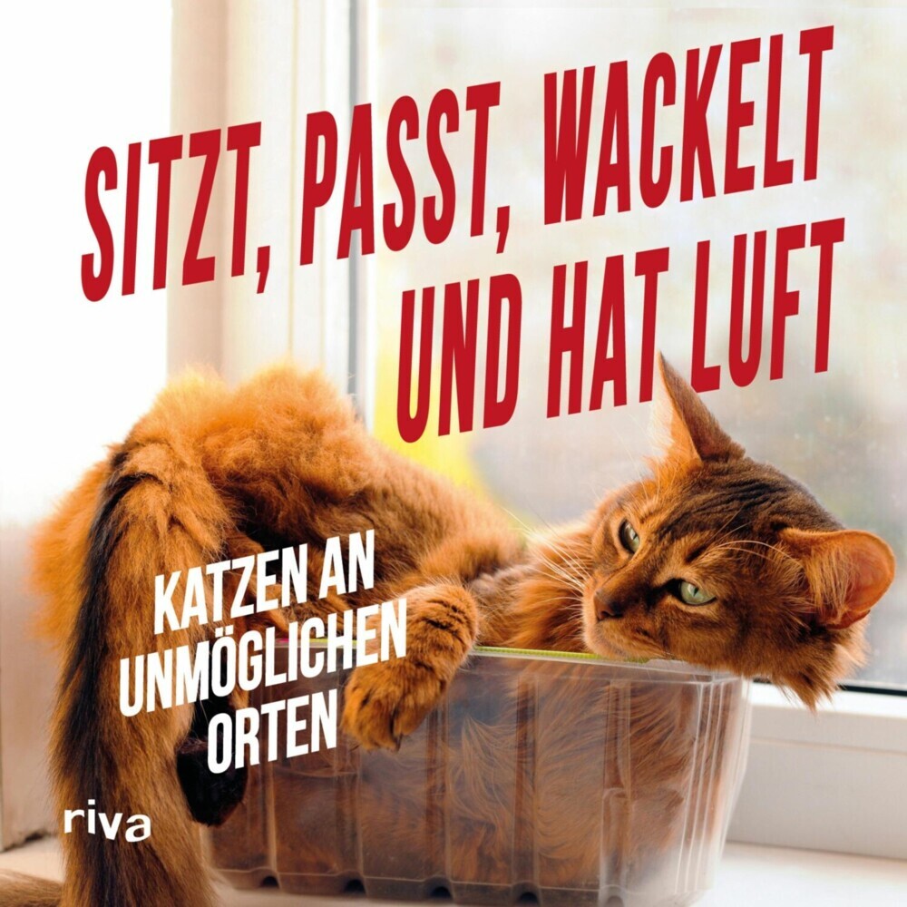 Sitzt, passt, wackelt und hat Luft main product photo