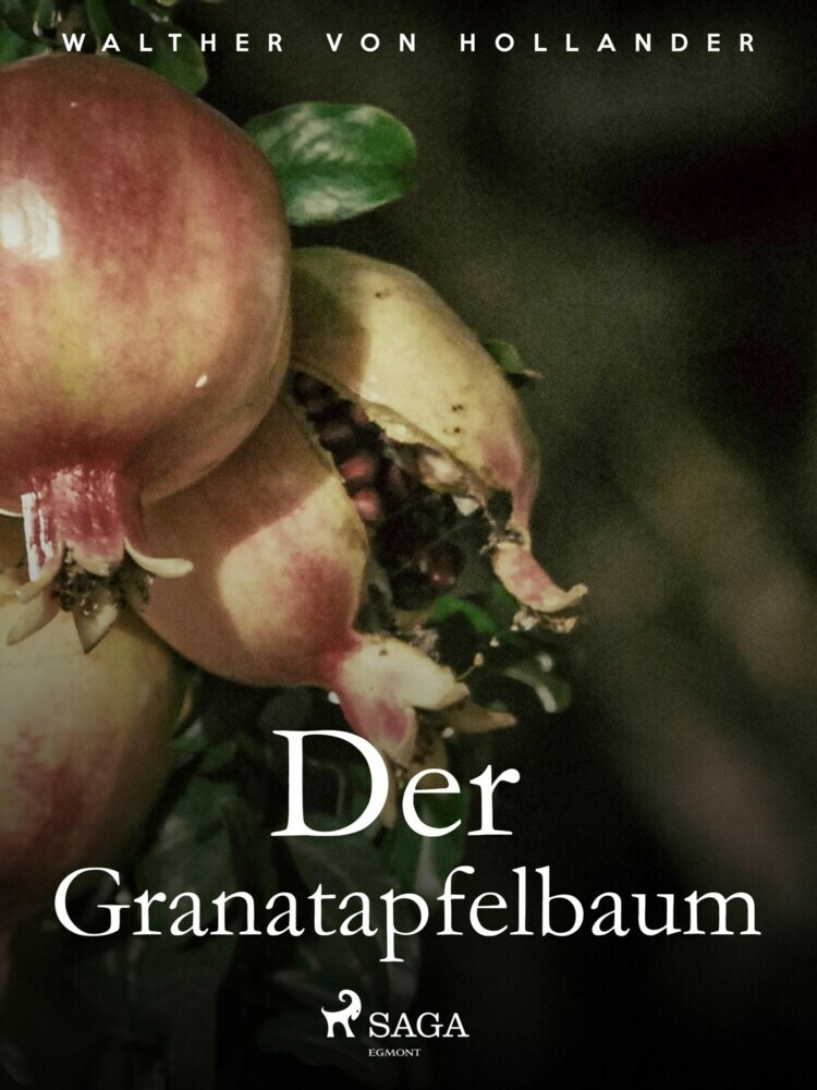 Der Granatapfelbaum main product photo