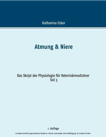 Atmung & Niere main product photo