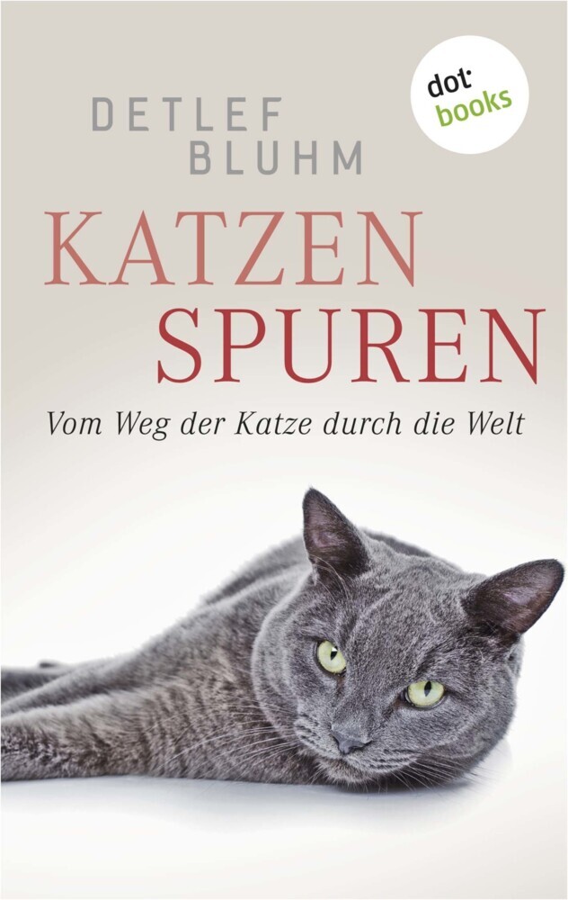 Katzenspuren main product photo