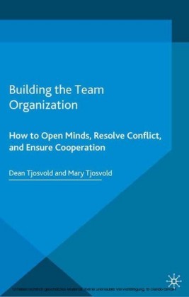 Building the Team Organization