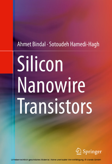 Silicon Nanowire Transistors main product photo