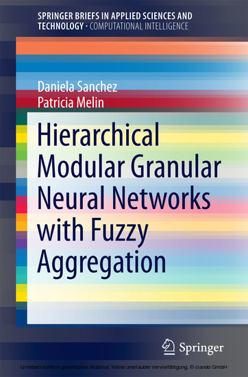 Hierarchical Modular Granular Neural Networks with Fuzzy Aggregation main product photo